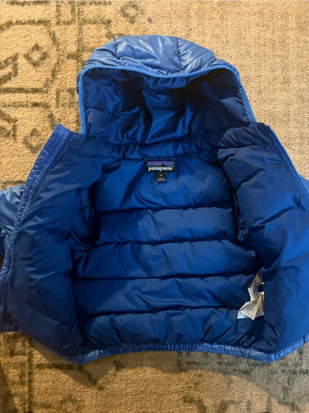 Toddler Patagonia down jacket
